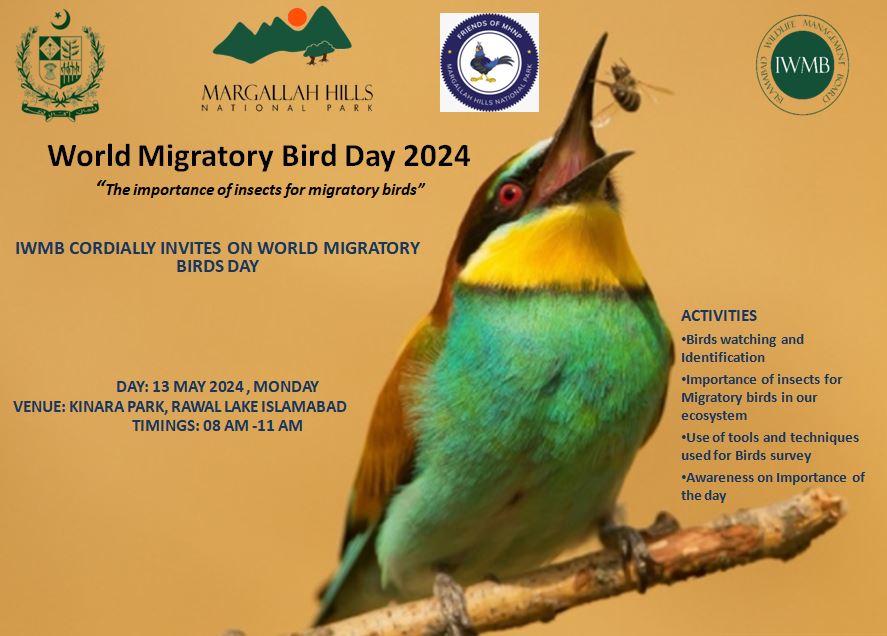 Happy World Migratory Bird Day! 🐦 Celebrating the incredible journeys of migratory birds and the ecosystems they connect. Let's raise awareness and protect their habitats for a sustainable future.
#SaveMHNP
 #WorldMigratoryBirdDay