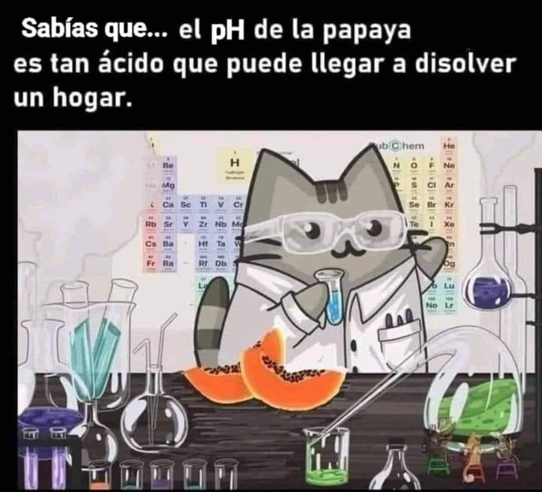 arwenbluu's tweet photo. Ojo al dato 👇🏻 https://t.co/Lpn98pxkkQ