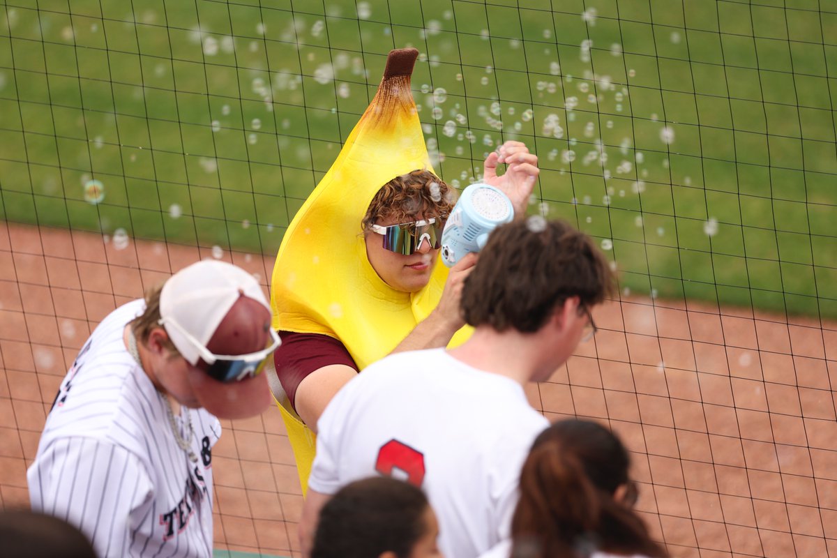 Texas A&M Softball tweet media