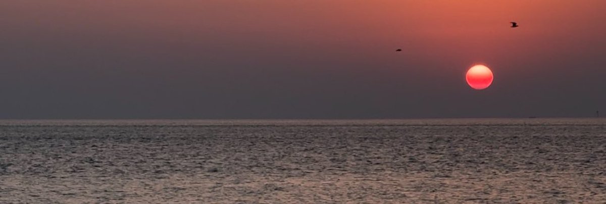 من وين ماتشرق عليّ شمسك أقول
أصبحت أحبك .. و أصبح الملك لله

_ منيف الجراش