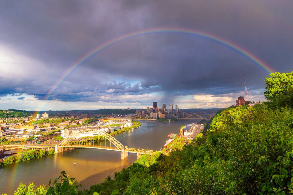 Dave DiCello tweet media