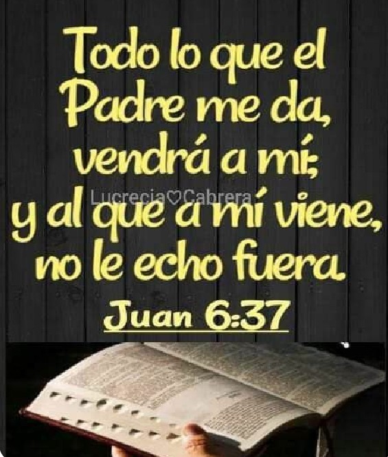 Mi estimado Teoforos, ante esto que tienes que decir: ¿Es por intermedio de Dios o de María, que las personas llegan a Cristo?. Porque ustedes los católicos romanos le ruegan a la virgen María por los pecadores; en lugar de pedirle a Dios por medio de su Hijo. Tal como enseño el