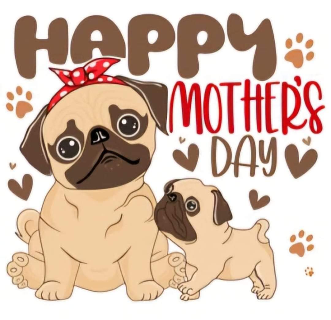 Happy Mother's Day!
#pugpartyplusone