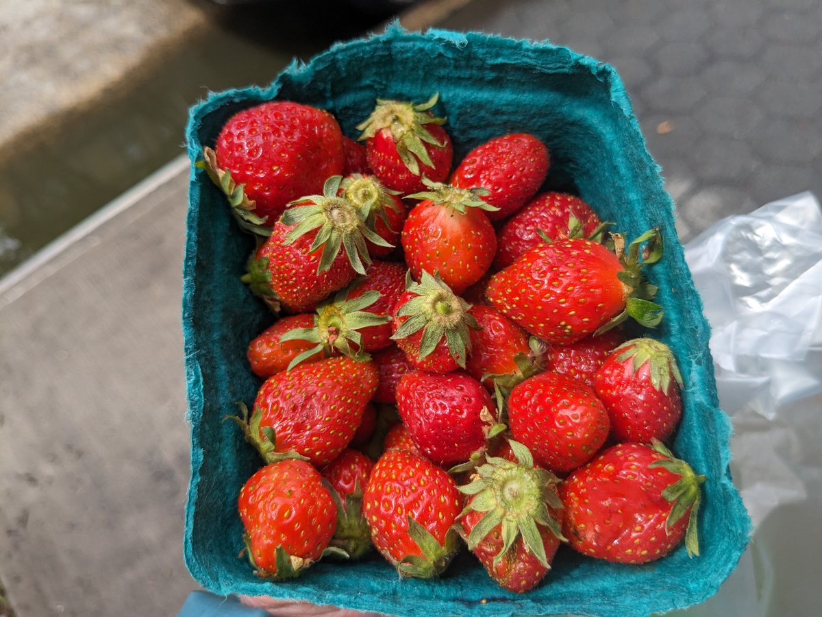 First strawberries of the season, Tompkins Square Farmers Market