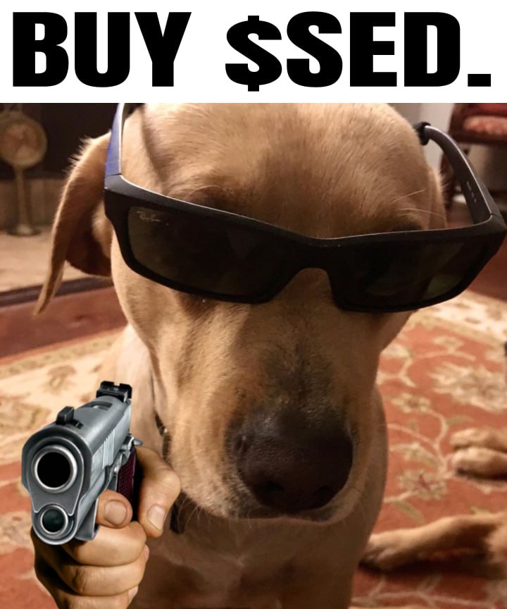 Side Eye Dog Coin | SOLANA tweet media