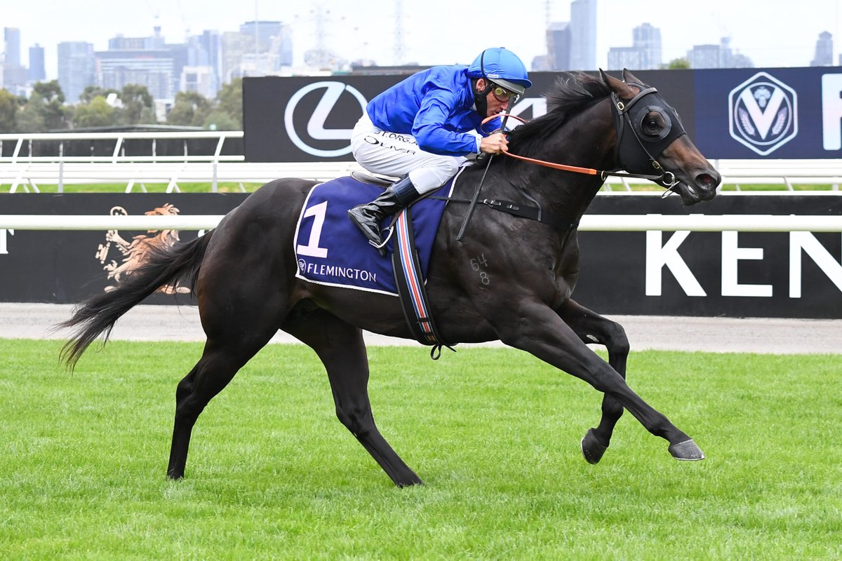 🚨 STALLION NEWS 🚨 Ingratiating is set to stand at Oakland Park Stud in 2024 for a fee of $9,000 (inc GST) 💙 'Ingratiating is the best-performed Australian-bred 2yo to retire to stud in Western Australia.' - Neville Duncan 🗣️ @TBBreedersWA @godolphin @PerthRacing @DarleyAus