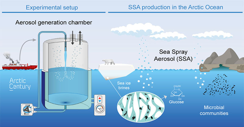 In this ES&T study, scientists at @ICMCSIC show that sea surface salinity and glucose or glucose-rich saccharides are key contributors of sea spray #aerosol production in Arctic waters. #marinebiogeochemistry Read this #openaccess article here 👉 go.acs.org/9jr