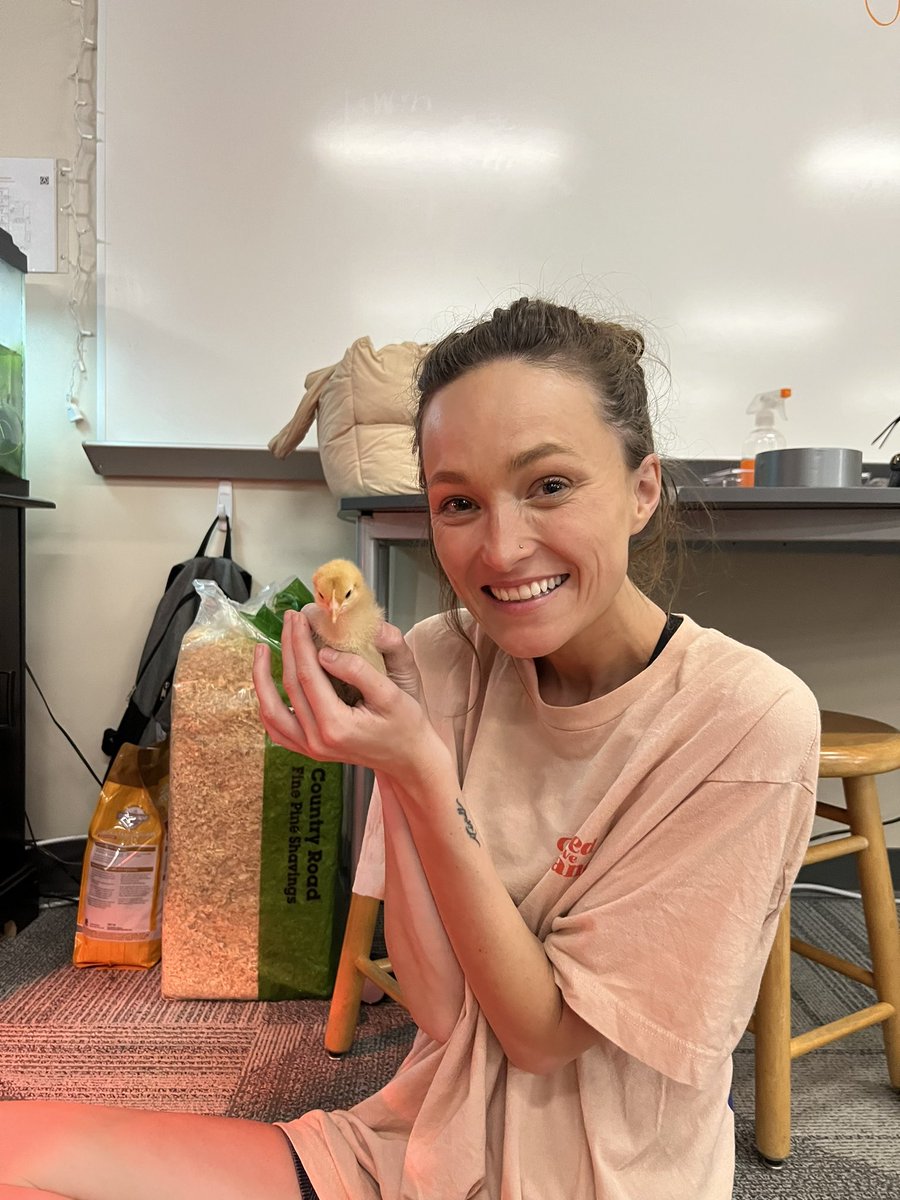 Madisyn Maxwell tweet media