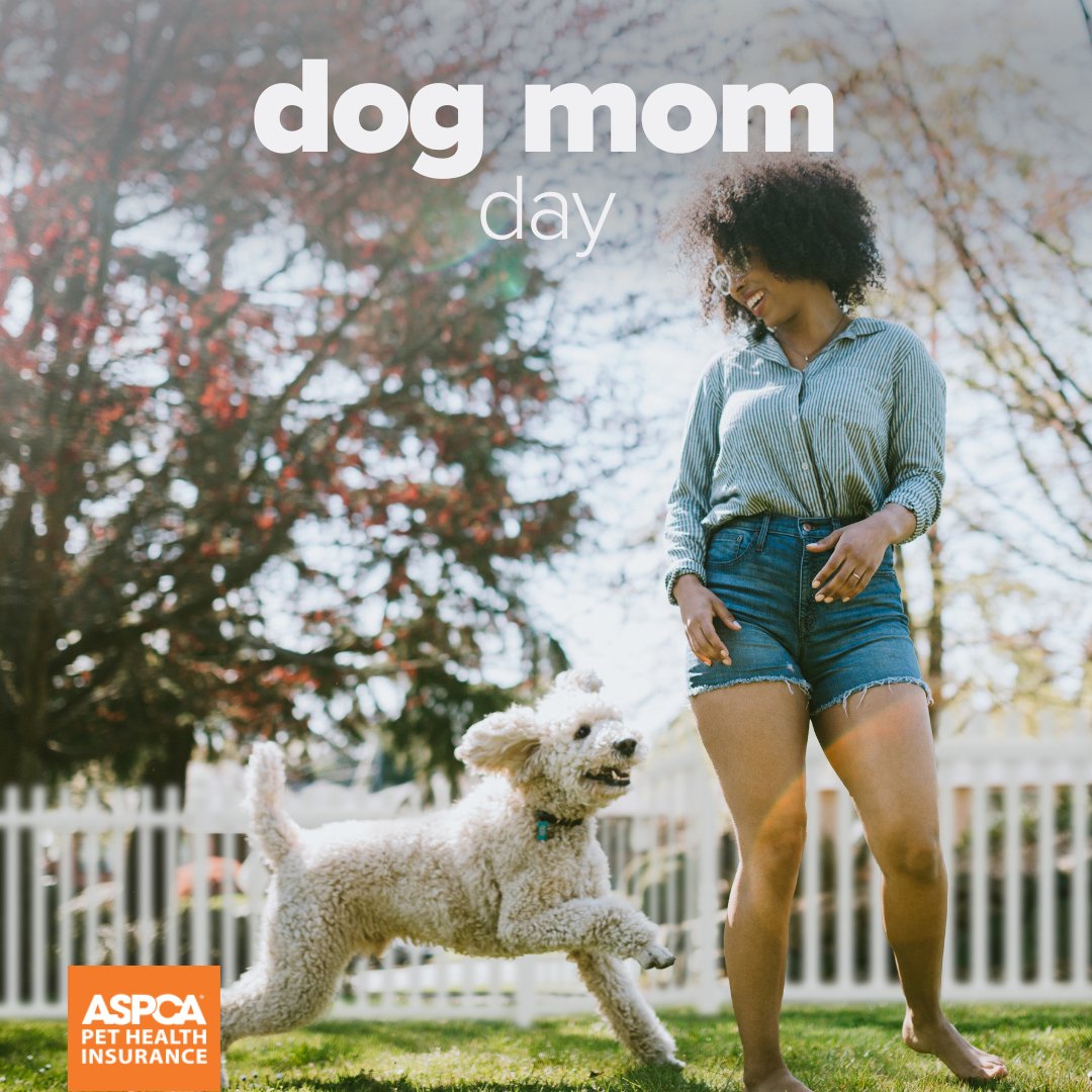 As a dog mom, what's your favorite thing to do with your four-legged friend? 🐶💕

--- 
The ASPCA® is not an insurer and is not engaged in the business of insurance 
#dogmoms #pets #dogs #doginsurance #ASPCAPetInsurance #dogpeople #petparents #petcare