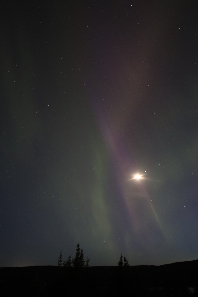 3/3 in Labrador West for visible auroras #nlwx #nlastro #northernlights #Auroraborealis #AuroraPhotography #ShareYourWeather #nature #rokinon14mm #canon90D #labrador