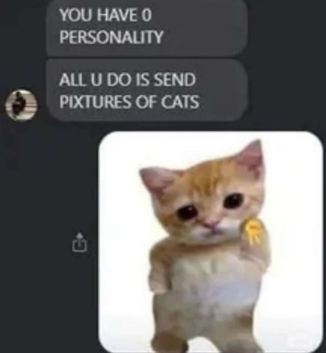 smol silly cat (@catsillyness) on Twitter photo 