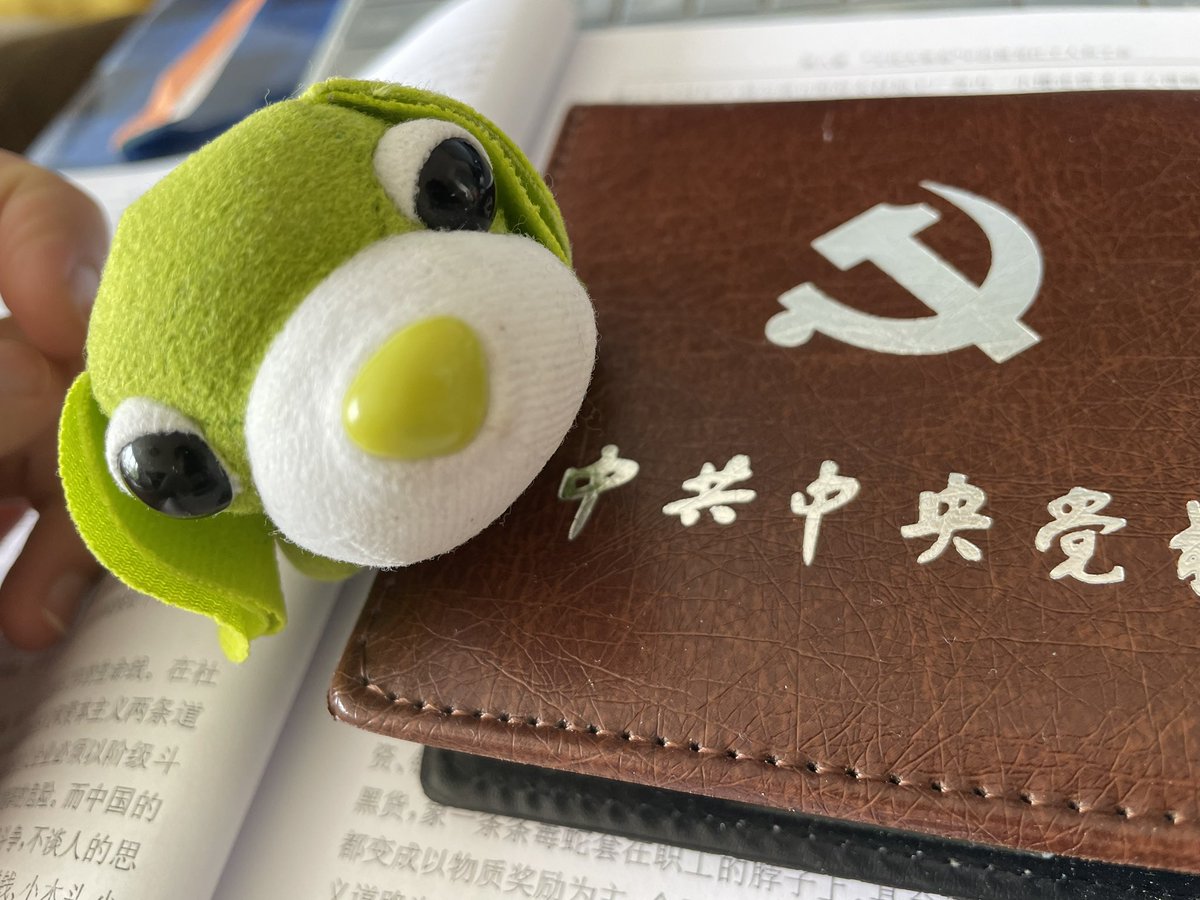 茶犬找到了一个小本子，里面有好多手工纸，跟茶犬一起来折纸吧！Origami！ P.S. 为什么折纸的英文翻译是origami而不是paper  folding呢？ #お茶犬