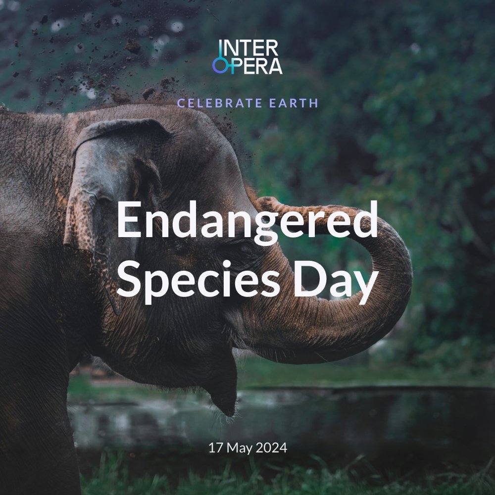InterOpera (@interoperagroup) on Twitter photo 🐘 🐅 🦈 Celebrating #EndangeredSpeciesDay 2024! Let's raise awareness and take action to protect our precious wildlife and their habitats.
🐾 Every small effort counts in preserving biodiversity for future generations.
#InterOpera #CelebrateEarth #ProtectWildlife🌳 🐘 🐅 🦈 Celebrating #EndangeredSpeciesDay 2024! Let's raise awareness and take action to protect our precious wildlife and their habitats.
🐾 Every small effort counts in preserving biodiversity for future generations.
#InterOpera #CelebrateEarth #ProtectWildlife🌳