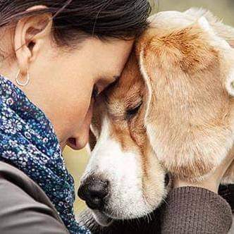 #BirKapSuBirKapMama
#Hayvanlaryaşamakistiyor
#MamadanKDVKaldırılsın
#HayvanHaklarıAnayasaya
Sadece biraz Sevgi 
Çok ama Çokça Sevgi 
🧿🐈🐱🕊🐕🐕🐶
