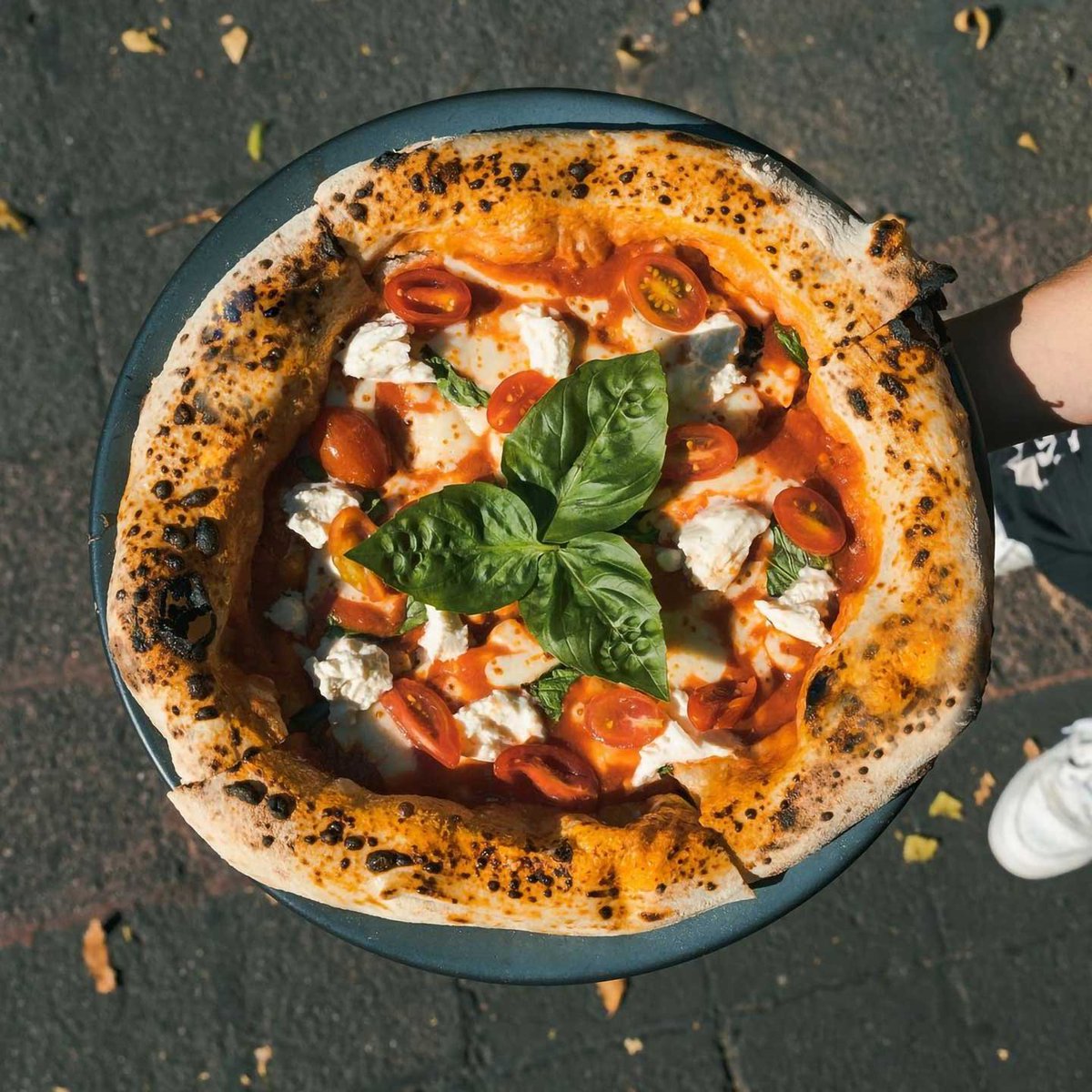 FoodandTravelMX's tweet photo. ¿Amante de la pizza? Estas tres nuevas pizzerías son paradas obligadas para los amantes de la buena comida en #CDMX. 🍕✨
#Cancino #Sobaka #Pazzesca
➡️https://t.co/QXllL4Hl28 https://t.co/O2bjB26Zhs