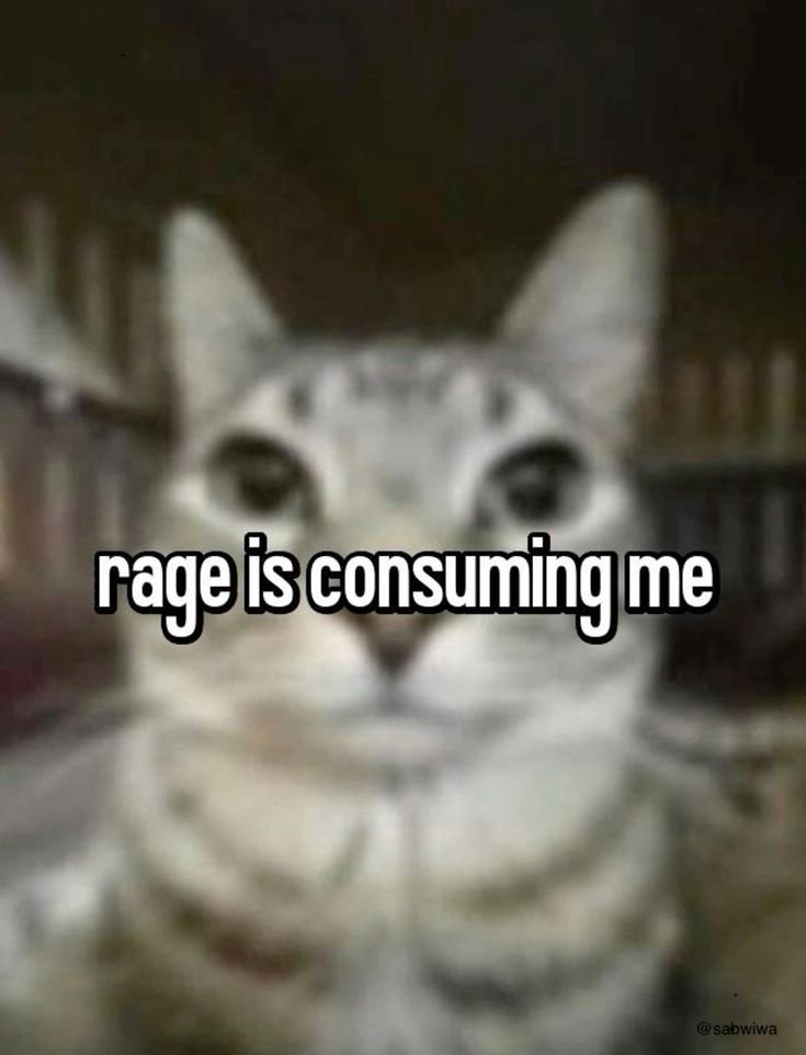 Sassufds's tweet photo. https://t.co/DbweJADoz0