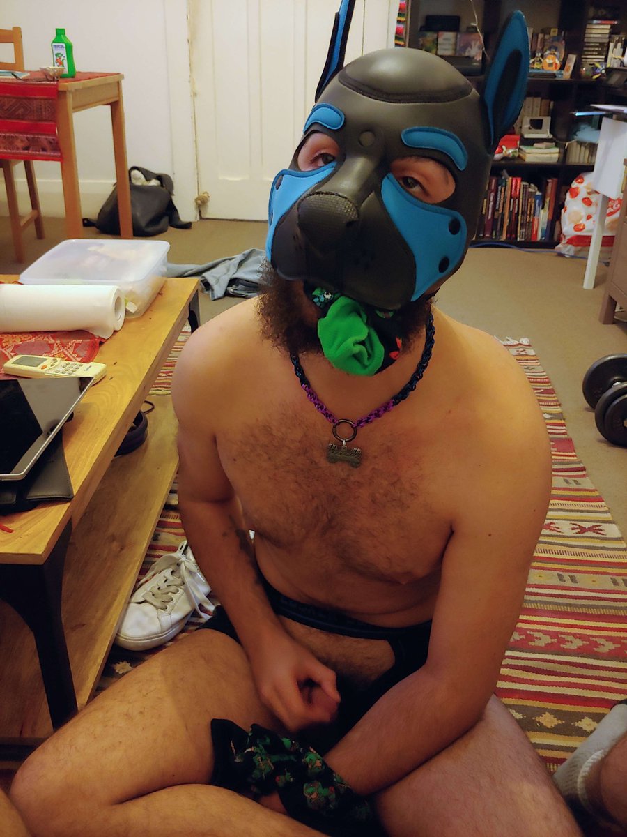 Give me stimkies and watch me drool 

This one was induced by <a href="/ThatThorn33/">Pup Thorn</a> 🐶