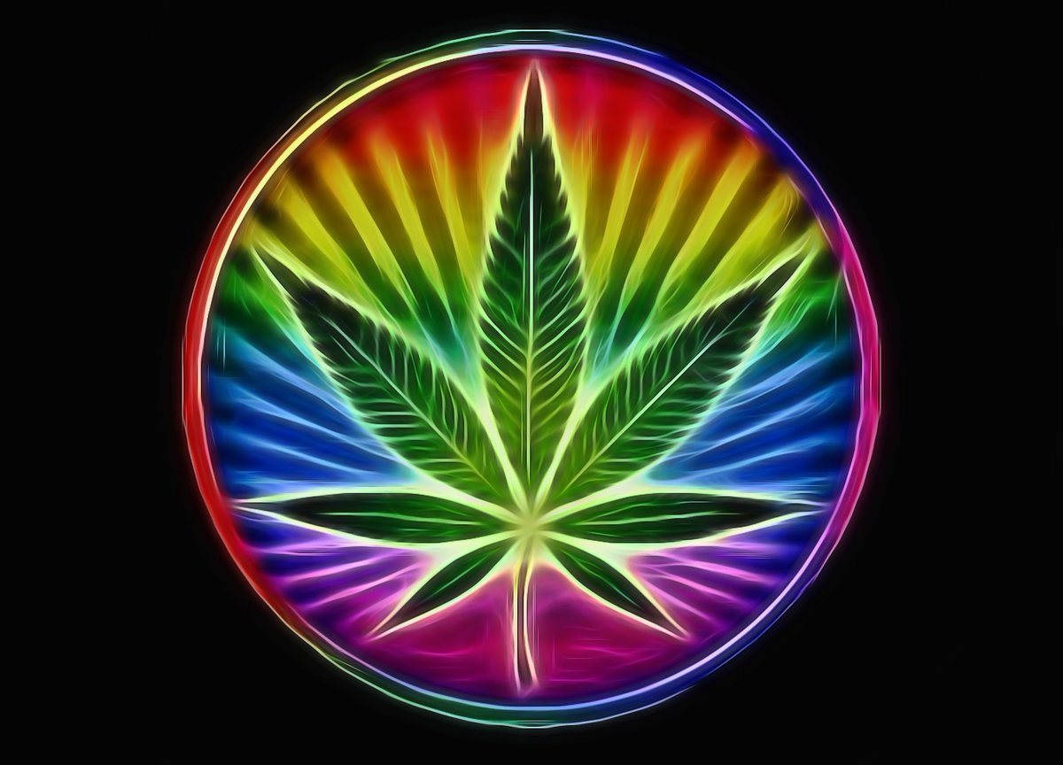 Just smokin & chillin here ✌️😎🇨🇦
#StonerFam #WeedLife #CannabisCommunity #CanadianCannabis #cannabisculture #WeedLovers #420life #Weedart #Weedporn #LeafArt