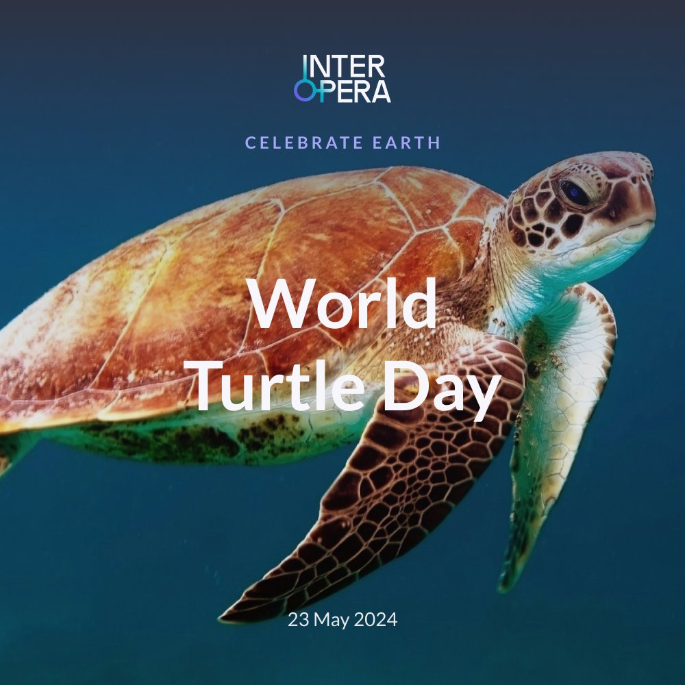 InterOpera (@interoperagroup) on Twitter photo 🐢 Happy #WorldTurtleDay 2024!
🌊 Let's shell-ebrate these magnificent creatures and their importance in marine ecosystems. Together, we can protect and conserve turtle habitats for a sustainable future.
#InterOpera #CelebrateEarth #ProtectOurTurtles #MarineConservation 🐢 Happy #WorldTurtleDay 2024!
🌊 Let's shell-ebrate these magnificent creatures and their importance in marine ecosystems. Together, we can protect and conserve turtle habitats for a sustainable future.
#InterOpera #CelebrateEarth #ProtectOurTurtles #MarineConservation