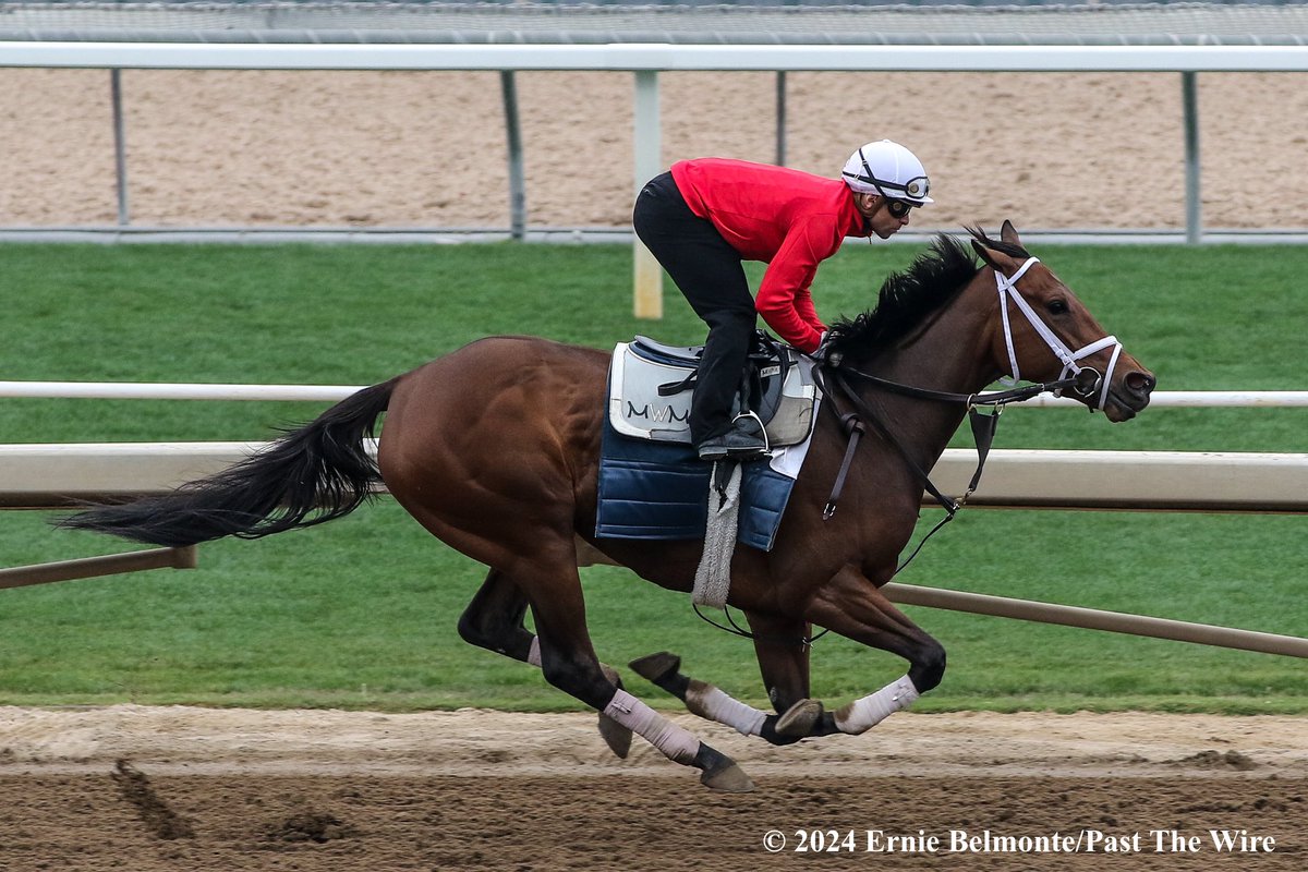 Selenaia (5F: 1:02.20 B) working this morning under @umbyrispoli.