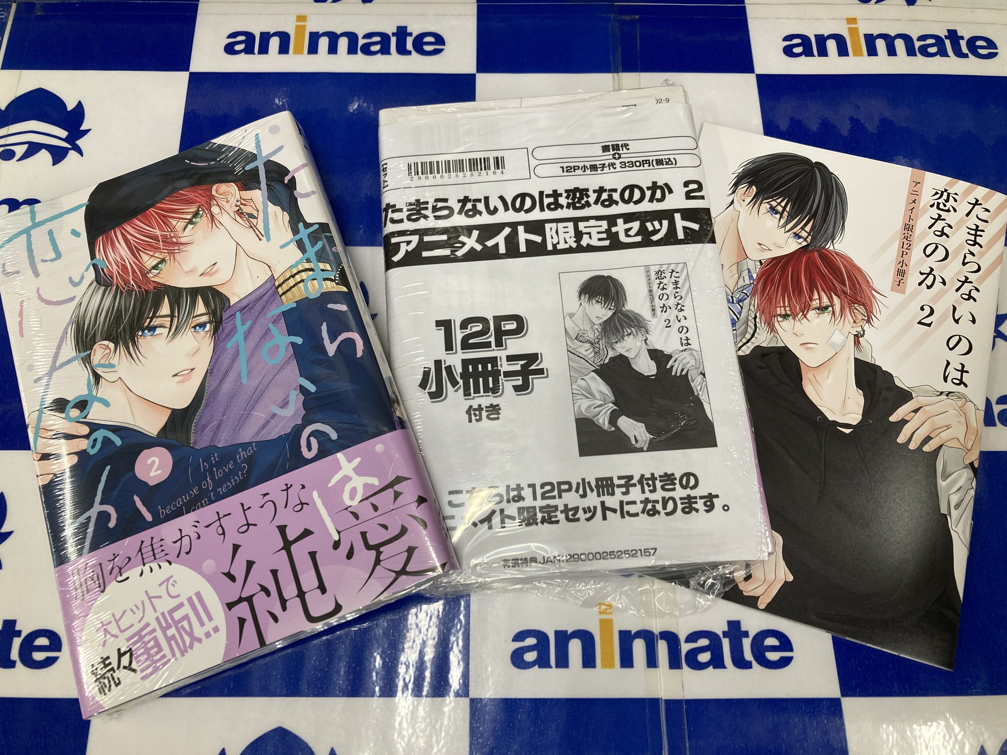 たまらないのは恋なのか 2 アニメイト 特典 12p 小冊子 空華みあ