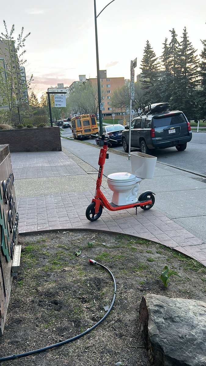 Taylor Braat tweet media