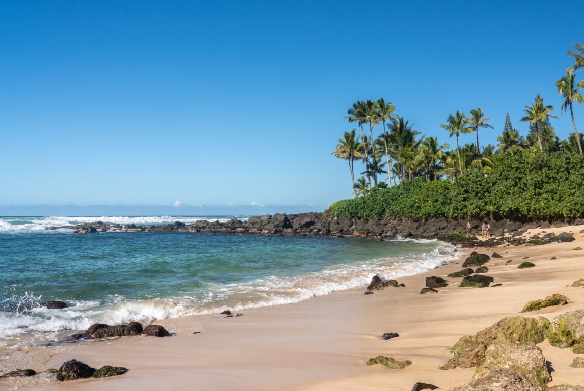 ウミガメ🐢の遭遇率が高いことで有名な
ノースショアにある #タートルビーチ 
と呼ばれる #ラニアケアビーチ 🌊

甲羅干しに砂浜にあがってくる
かわいらしい姿を
見てみたいですね😍

bit.ly/400pUa9

#エアトリ #海外旅行 #航空券
#ハワイ #オアフ島 🏝️🇺🇸