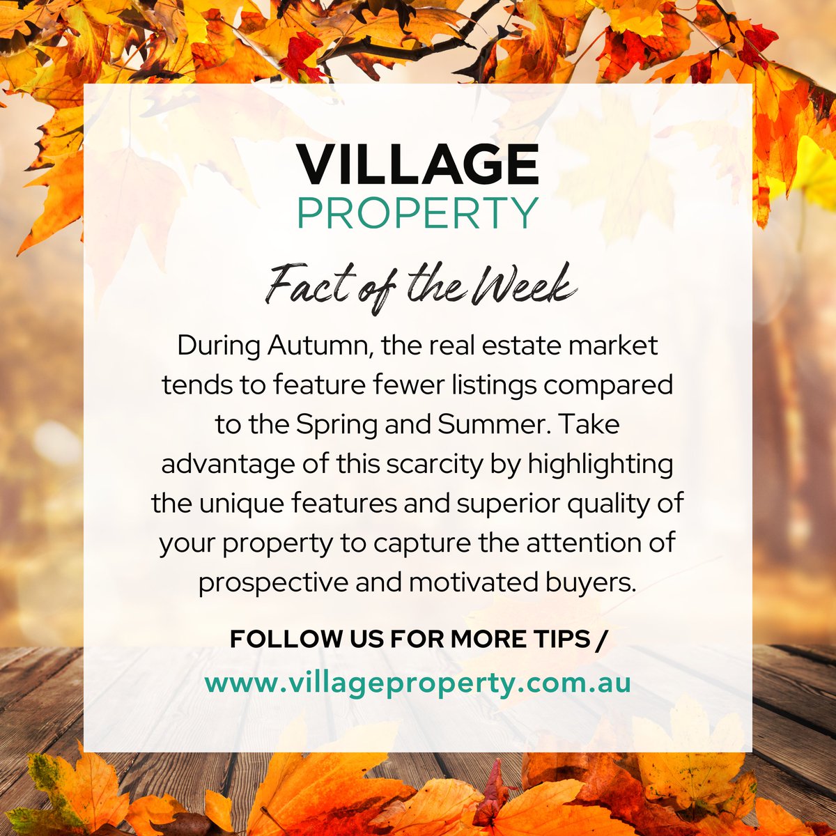 🍂 Autumn generally means fewer properties on the market, giving your property the chance to stand out from the crowd. 

Take time to present your home in the best possible light.

#FactoftheWeek #VillageProperty