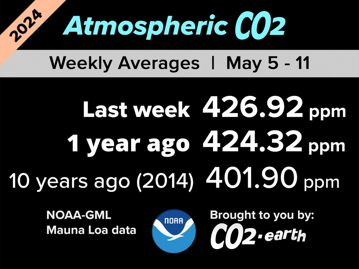 🌎 426.92 ppm #CO2 in the planet's air for the 19th week of 2024 🌎 📈 Up from 424.32 one year ago📈 🔗 NOAA Mauna Loa weekly data: buff.ly/42A2WXH 🔗 🔄 CO2.Earth distribution: buff.ly/3WD0vEj & buff.ly/4dFYoWn 🔄