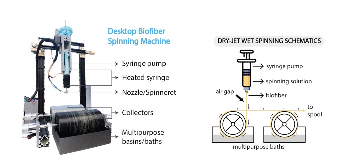 Mirela Alistar tweet media