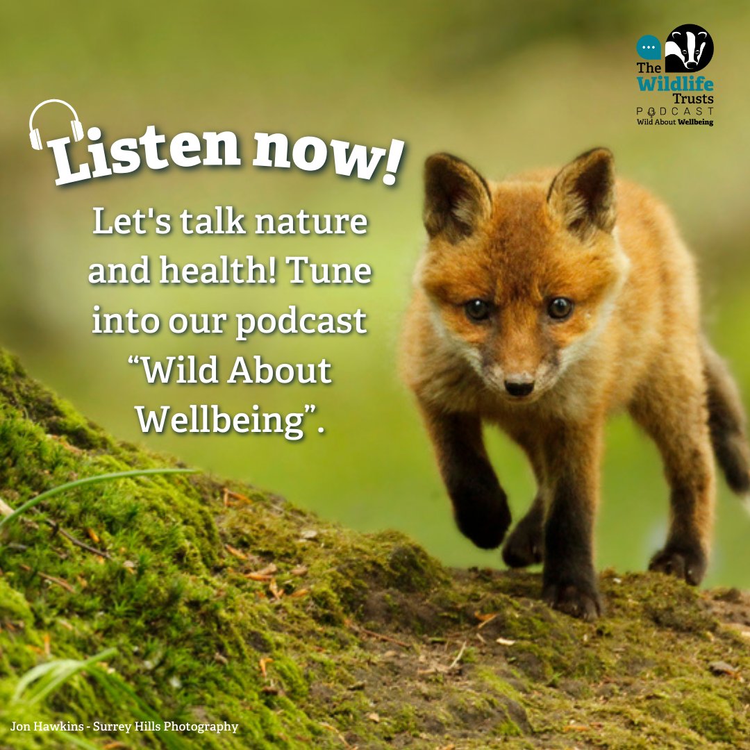 This #MentalHealthAwareness week, we want to shine a spotlight on how nature can impact our mood. Take a moment to listen to our podcast, which explores topics like eco-anxiety, mental health tips and the magic of the outdoors. Listen now 🎧 wildlifetrusts.org/podcasts