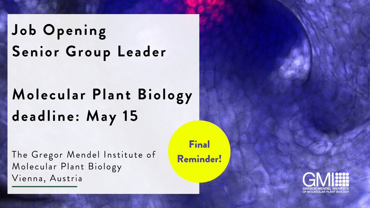 Final Call for Applications: Senior Group Leader at GMI! Join us at the GMI, a hub of molecular plant biology within the vibrant Vienna BioCenter, offering state-of-the-art facilities and an international community of over 2,000 scientists.