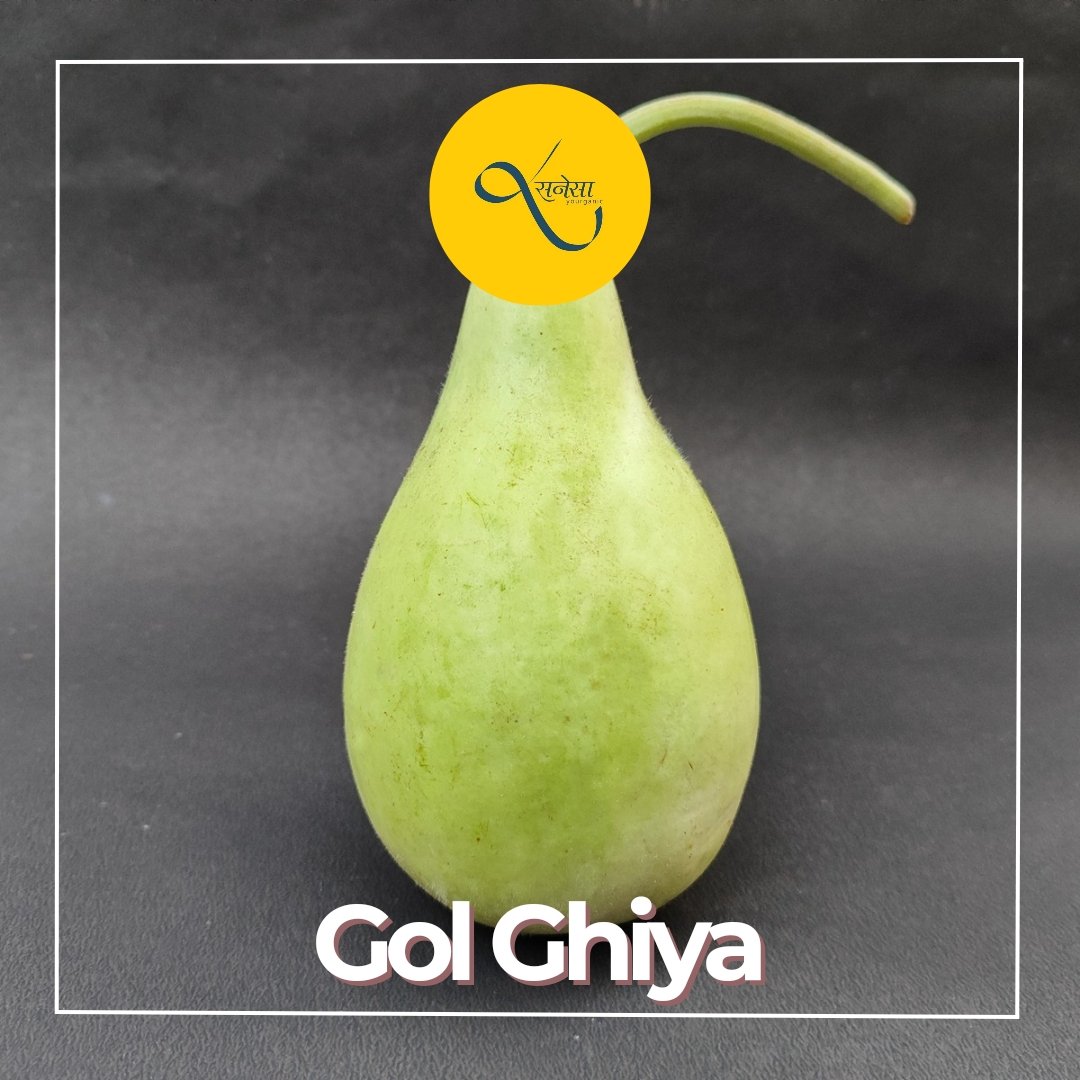 sanesa's tweet photo. Our Gol ghiya is low in calories and packed with nutrients, it is grown under natural conditions using organic fertilisers and nothing else.
#golghiya #ghiya #sanesa #sanesayourganic #chemicalfree #pesticidefree
https://t.co/5k3j4HDSWx https://t.co/FRVtk5Ke0L