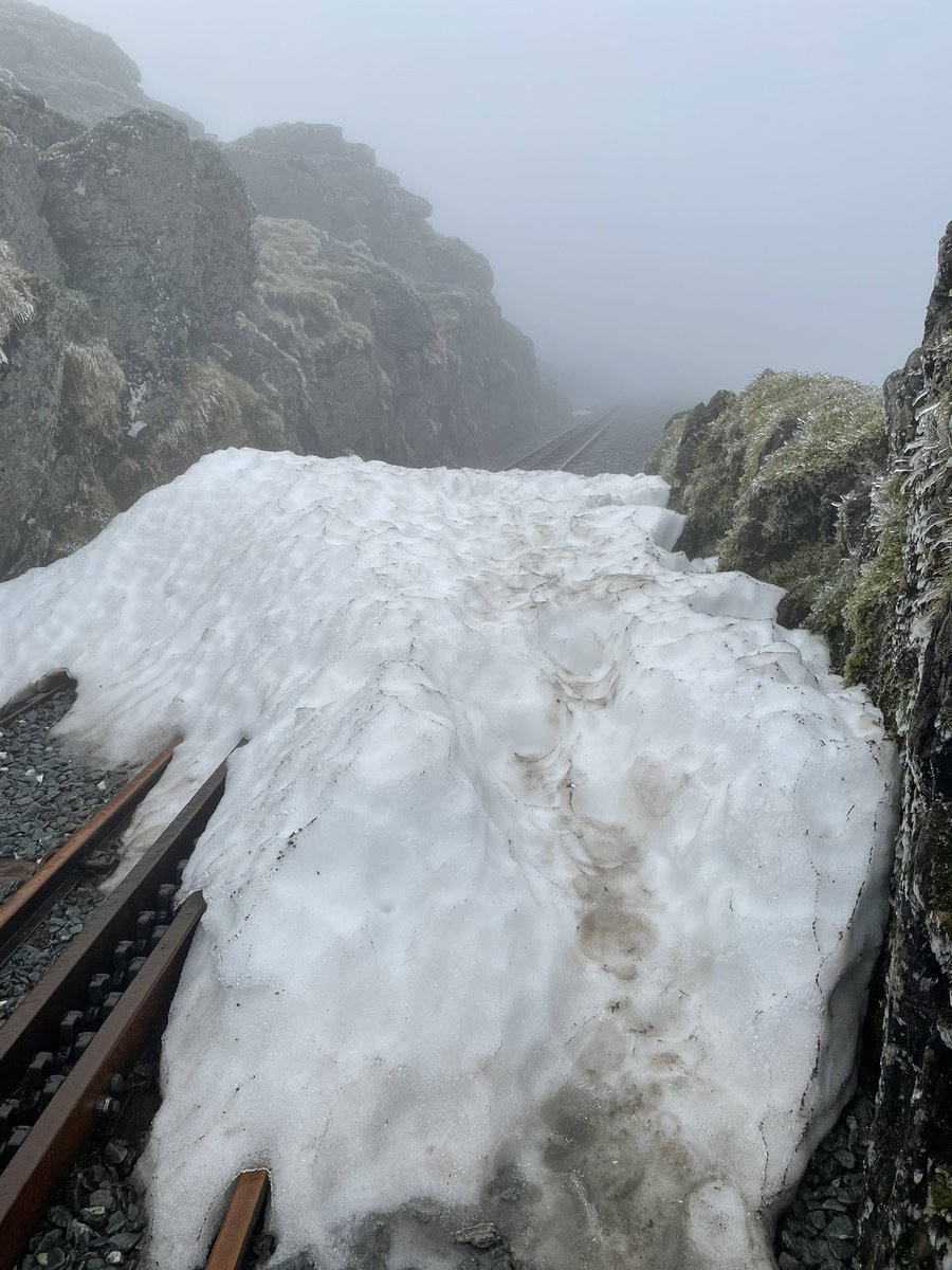 George Coxon💚 tweet media