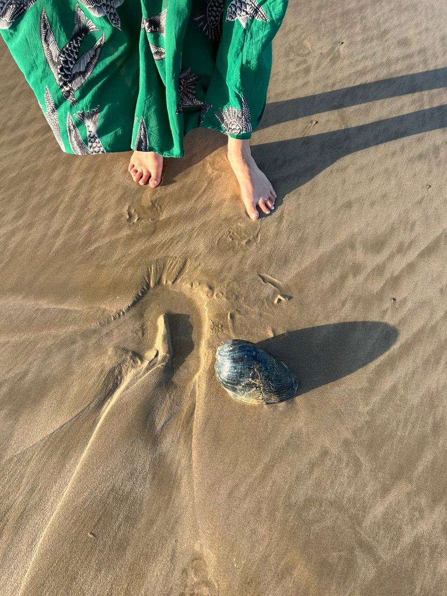 Molly Murn tweet media