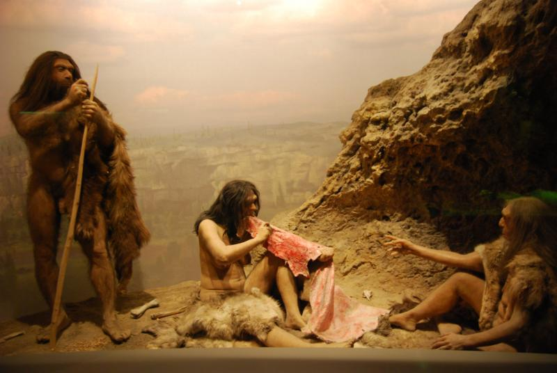 NowRbe's tweet image. #Money is truly #imaginary and #unnecessary. For example, if you asked somebody from 50,000 years ago how can they be #motivated to #work without money, their response would be, "What's money?" 

#moneyisfake #fakeeconomy #abolishmoney #socialistsunday