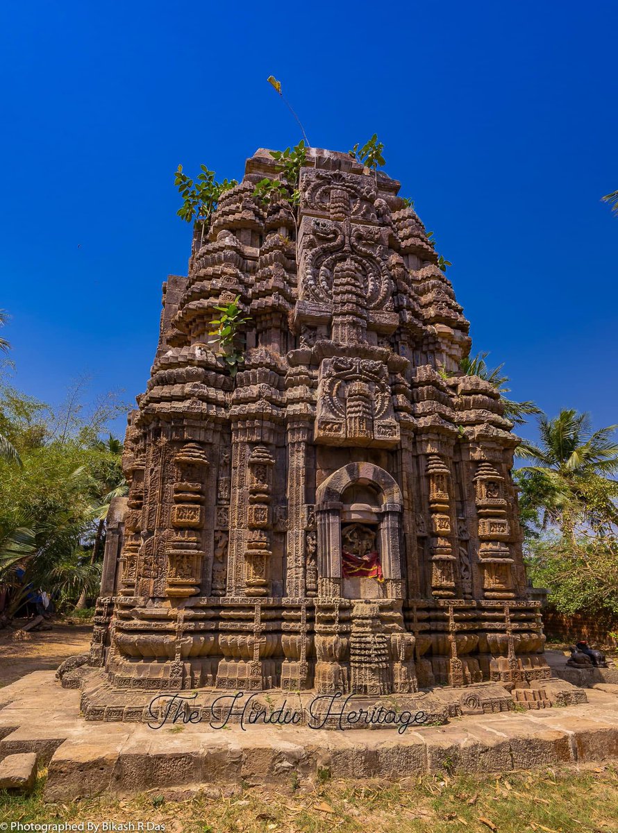 🕉 What a beauty 🙏12-13th century GANGESVARI TEMPLE Village Bayalisbati Gop, Puri, Odisha ! #IncredibleIndia 🚩