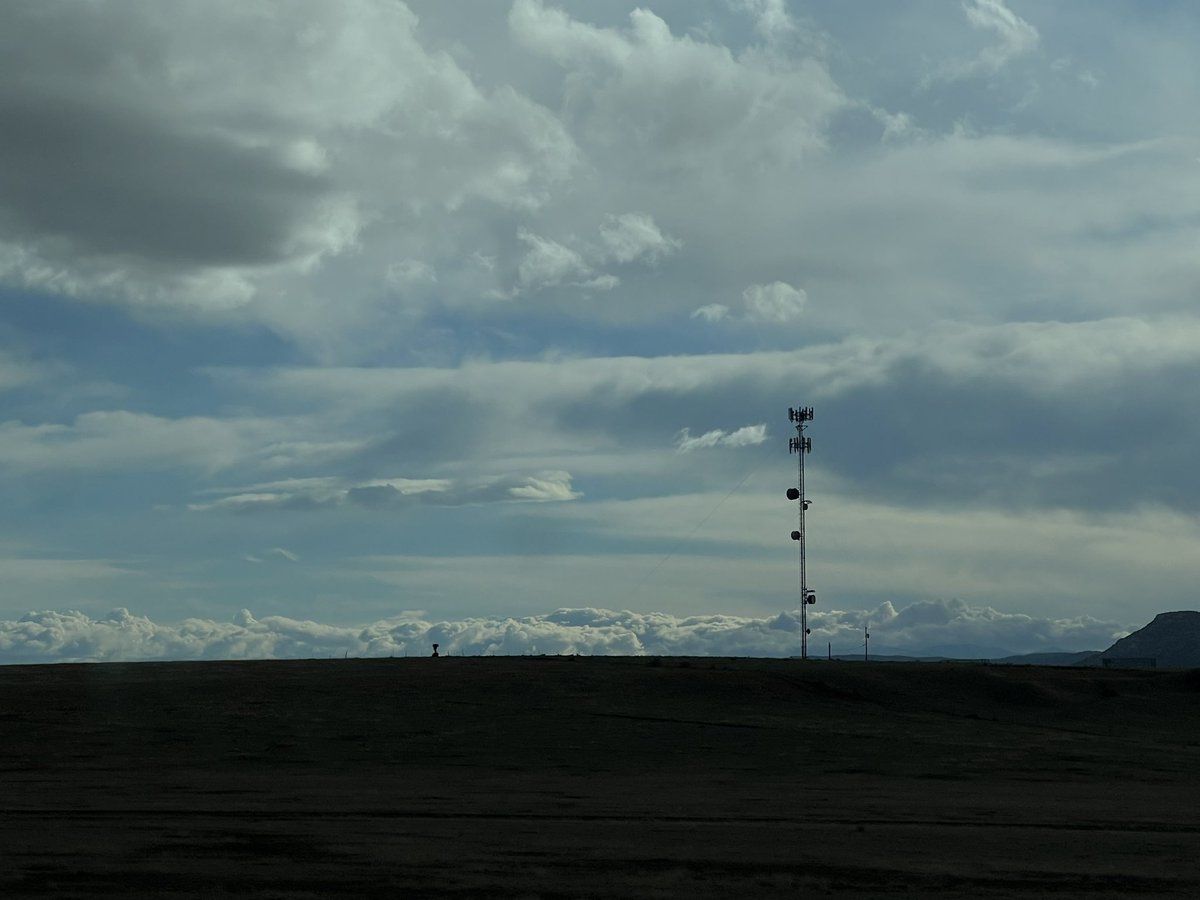 maiden china 🥢⏳ S. Qiōuyì Lù tweet media