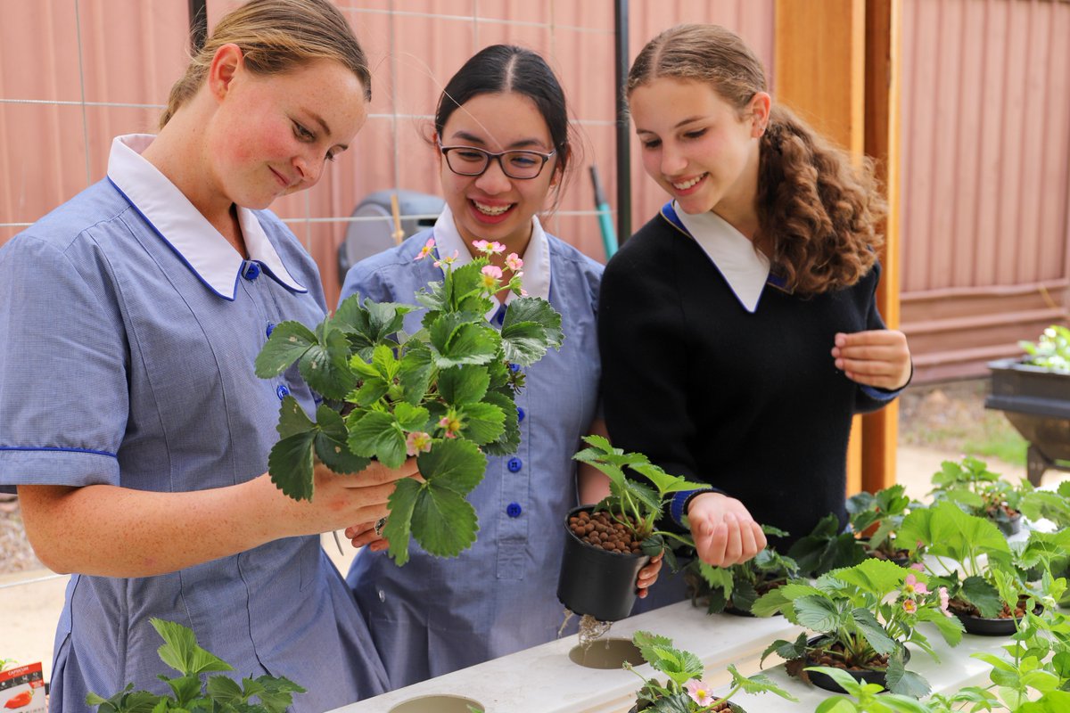 Edstart_AU's tweet photo. At the cutting edge of tech with skilled jobs on offer, food production and agriculture represent a huge economic opportunity. Schools are embracing this and taking learning outside the classroom, giving students first hand farming experiences.

📰: https://t.co/ugaDyHSIew https://t.co/NXGhxeR0wr