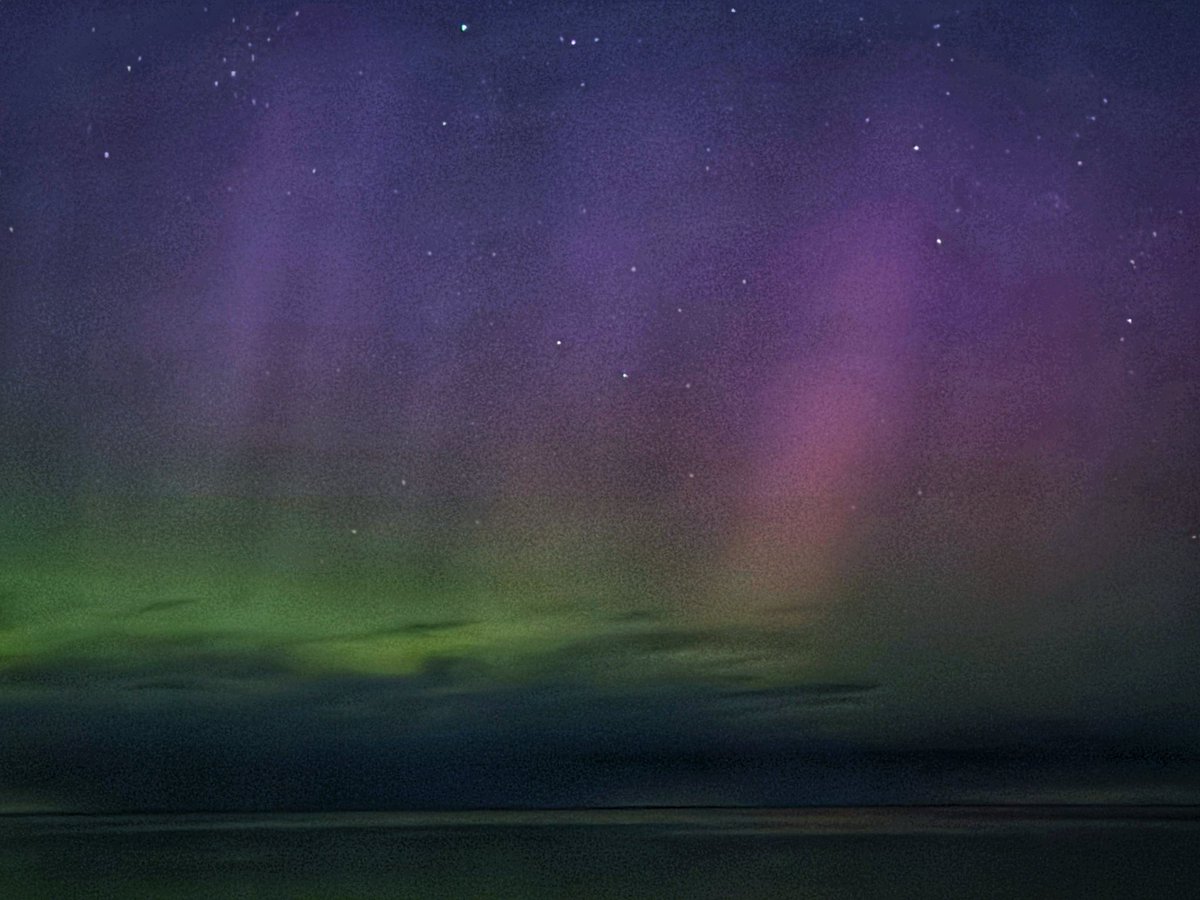 Bari Mance tweet media