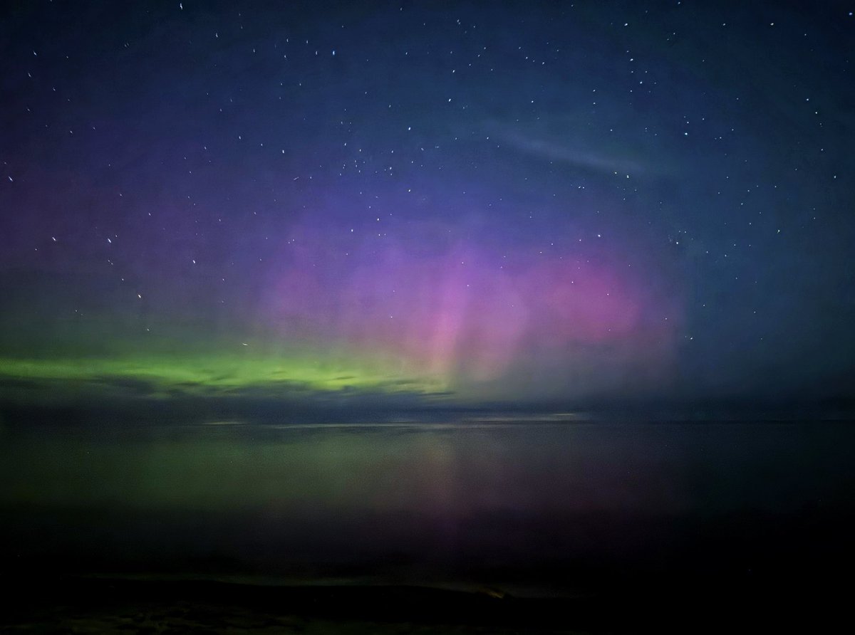 Bari Mance tweet media