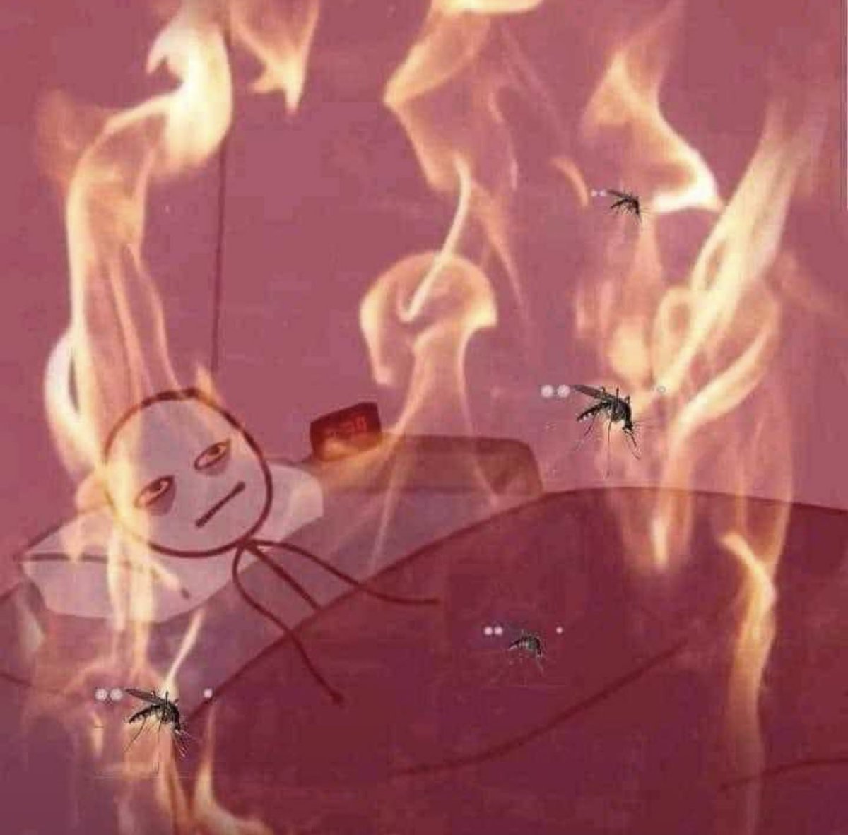 Diana Zavalaྀ tweet media