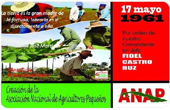 🚨 El 17 de Mayo estaremos conmemorando el aniversario de la #AnapCuba 🇨🇺; Organización que tiene #GenteQueSuma y que defienden la Revolución desde su trinchera produciendo alimentos para #Cuba #UnidosXCuba @DiazCanelB @DrRobertoMOjeda @FelixDuarteOrte @OsmaniPerez18