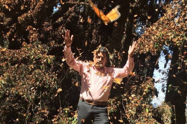 prismalunar_y's tweet image. Vi &quot;El guardián de las monarcas&quot; y me dio mucha tristeza como es que dicen que fue accidente cuando llevaba tiempo recibiendo amenazas de muerte. Yo no te olvido Homero Gómez.