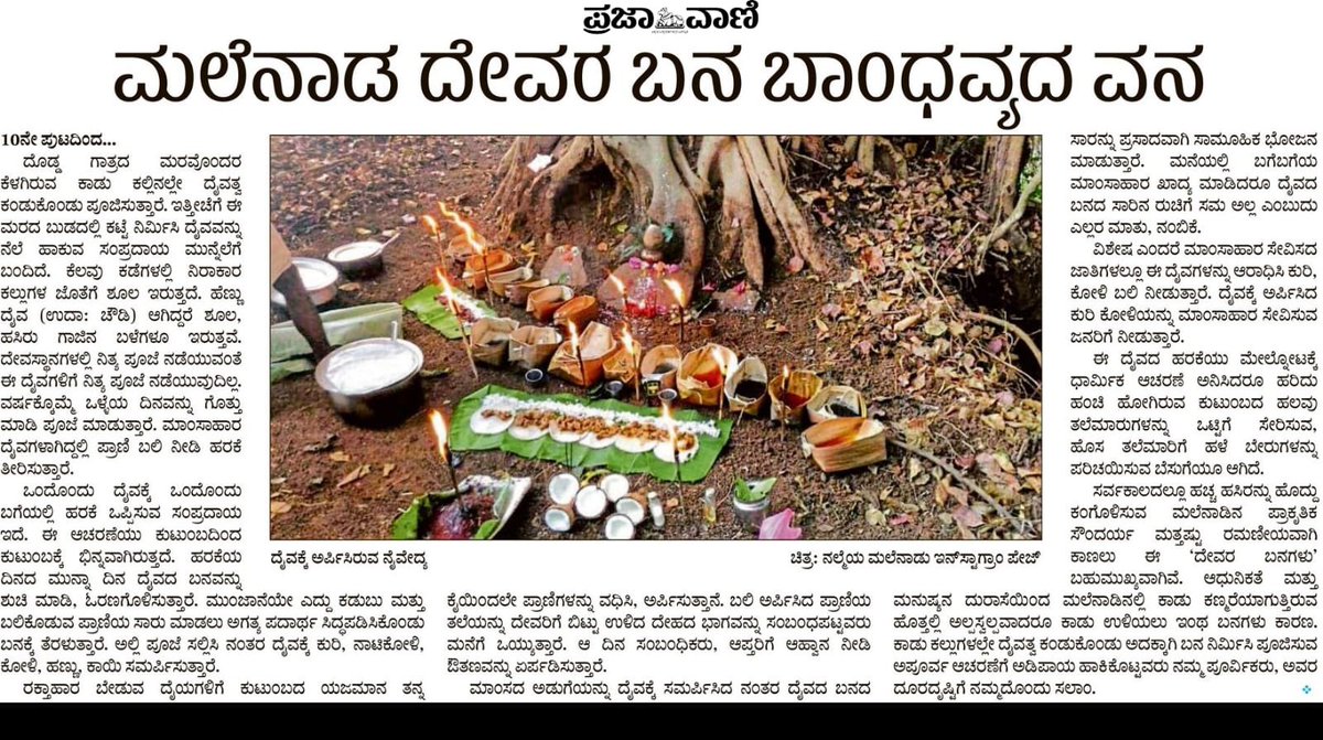 ಮಲೆನಾಡ ದೇವರ ಬನಗಳು🙏
#malnad #folk #forestgods #kannadadaiva