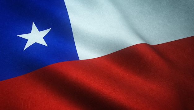 Siempre y más Unidos que nunca. Basta con la delincuencia que le sigue quitando la vida a las personas de bien. 'Esto debe parar ya'. ¡Viva Chile! 🇨🇱