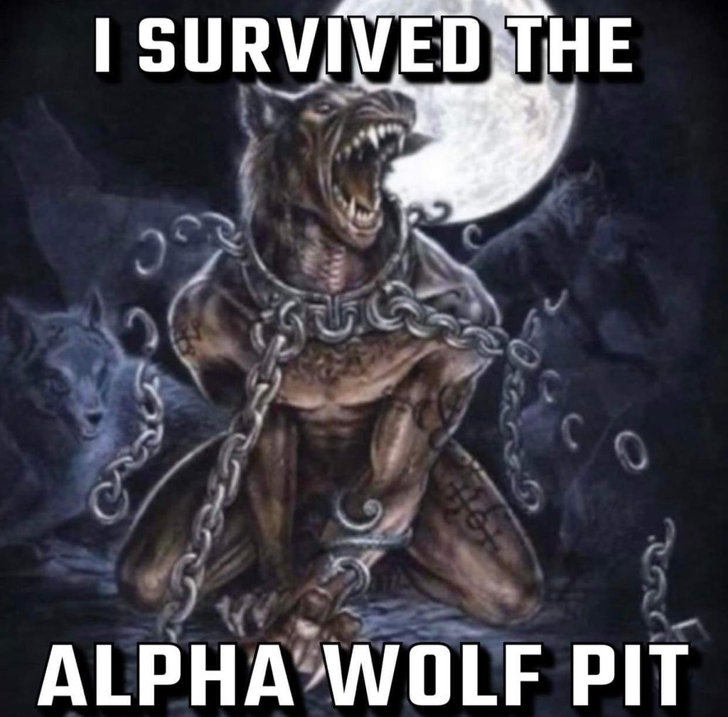 Alpha Wolf (New Album Out Now!) (@AlphaWolfCVLT) on Twitter photo 2024-05-13 04:22:47