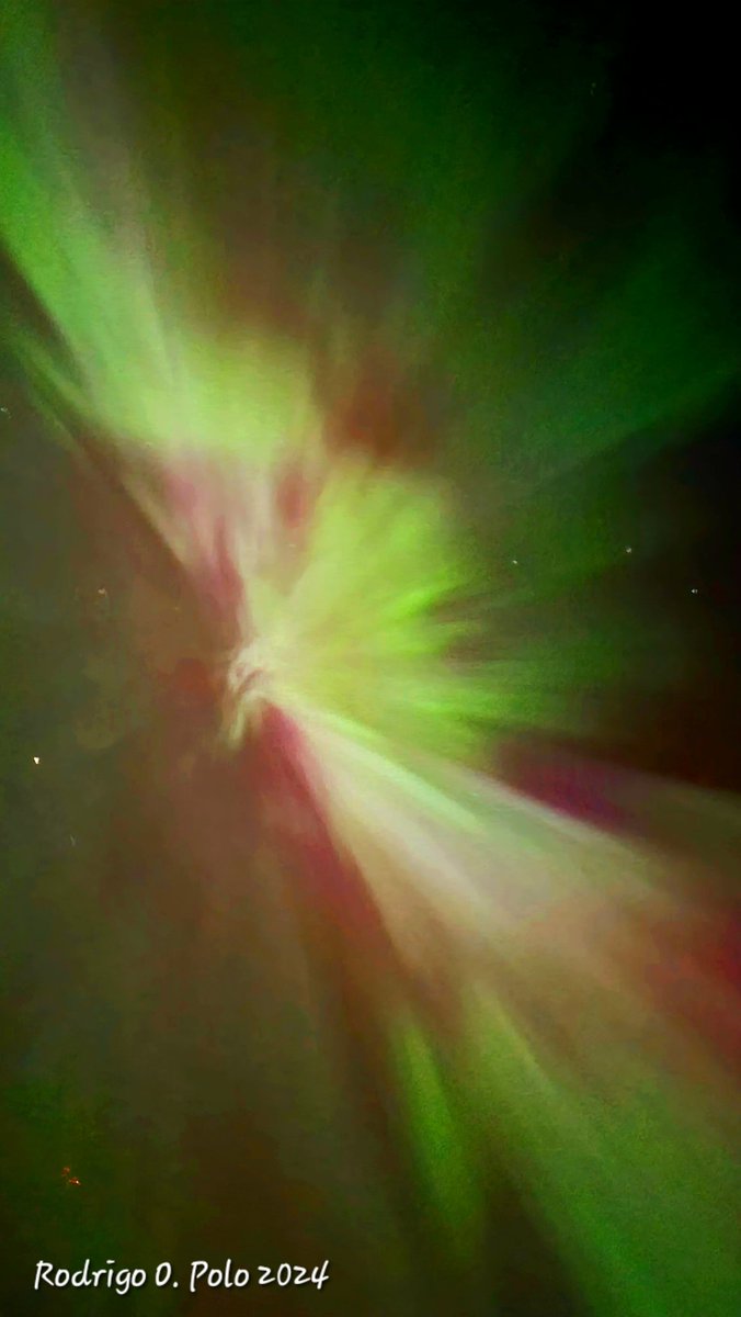 A phoenix emerged from the Aurora the other night! 
#northernlights #Auroraborealis #Albertanightsky #AuroraPhotography