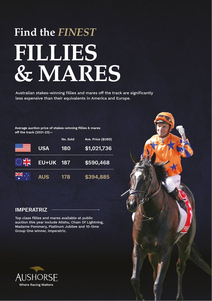 Find the finest Fillies & Mares👌 Australian stakes-winning fillies and mares off the track are significantly less expensive than their equivalents in America and Europe 🤩 @Aushorse_TBA