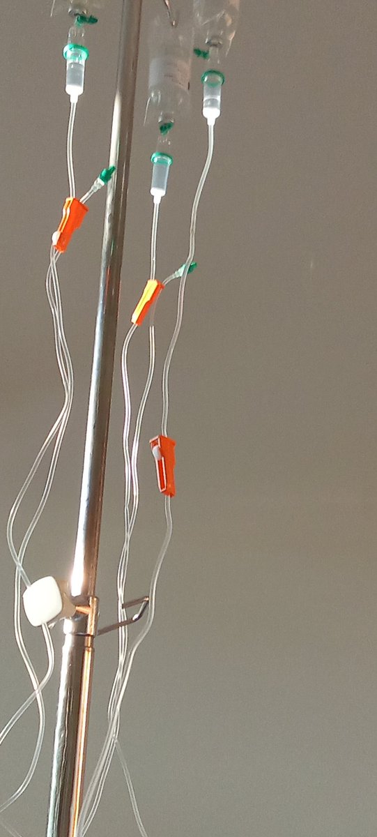 DingoPictures tweet media